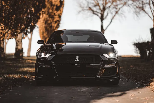 OG Casino Aplicación Android/iOS